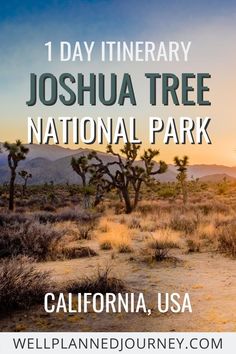 joshua tree national park in california with the words 1 day itinerary joshua tree national park