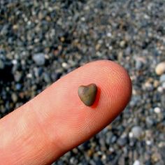 a finger with a tiny heart shaped rock on it's thumb and gravel in the background