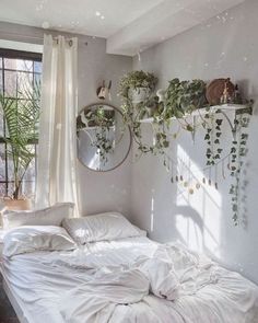 an unmade bed in a bedroom with plants hanging on the wall and round mirrors above it