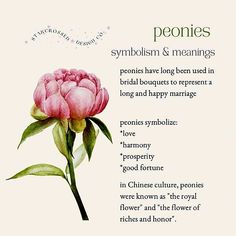 a pink flower with green leaves on it and the words peonies written in english