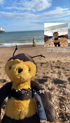 a stuffed bee is on the beach with people in the water behind it and an image of a bum