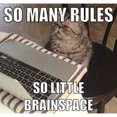 a cat sitting in front of a laptop computer on top of a table with the caption so many rules, so little brain space