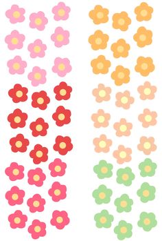 two rows of different colored flowers on white and pink background, each with one flower in the center