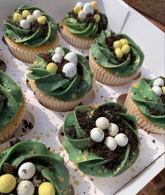 cupcakes decorated with green icing and eggs