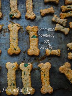 homemade dog biscuits with parmesan rosemary are ready to be baked in the oven