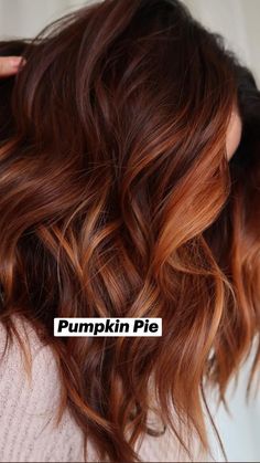 Haircolor Fall 2023, Dark And Copper Hair, Autumn Hair Styles 2023, Cowboy Copper Hair Color Brunette, Fall Hair Color Ideas 2023, Fall Hair Trends 2023 Brunette, Cowgirl Copper Hair Balayage, Red Copper Highlights On Brown Hair, Dark Hair Copper Balayage