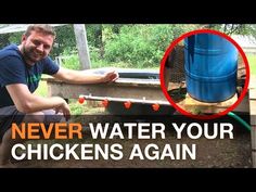 a man sitting on the ground next to a blue water tank with chickens in it