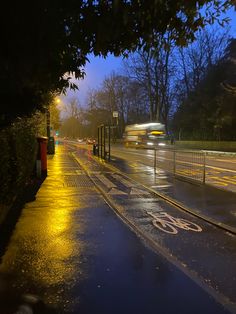 a wet street with cars driving on it at night and trees in the foreground