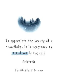 the quote to appreciate the beauty of a snowflakes, it is necessary to stand out in the cold