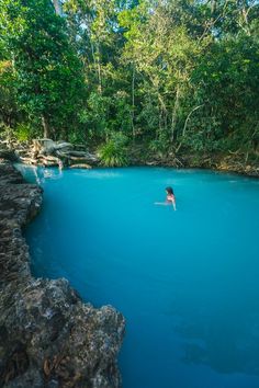 a person swimming in a blue pool surrounded by greenery and rocks on the side