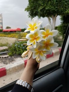 a person is holding flowers in their hand out the car window while they are driving