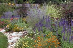 a garden filled with lots of different types of flowers