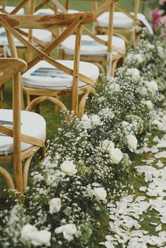 rows of chairs lined up with white flowers on the grass next to eachother