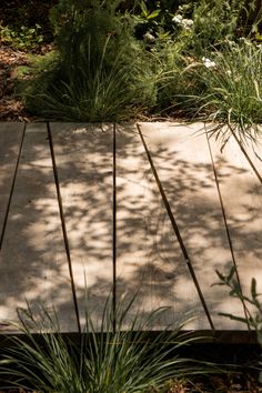 a bench sitting on top of a wooden platform surrounded by grass and trees in the sun