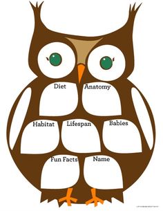 an owl with the words owl about the main ideas on it's back side