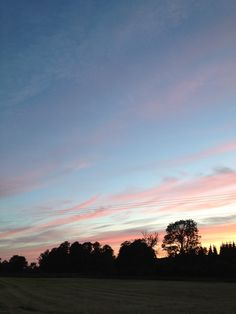 the sky is pink and blue as the sun sets in the distance behind some trees