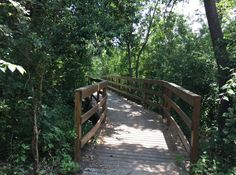 a wooden bridge in the middle of some trees