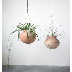 two hanging planters with plants in them