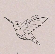 a drawing of a hummingbird flying in the sky