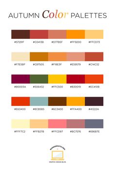 the autumn color palettes are all in different colors