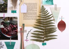 a collage of photos, papers, and plants