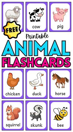 an animal flashcard with pictures of animals