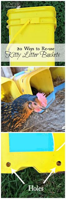 the steps in how to paint a chicken's body and head with text overlay that says, 29 ways to re - use kitty litter buckets