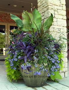 a planter filled with purple flowers and greenery next to a brick wall in front of a building