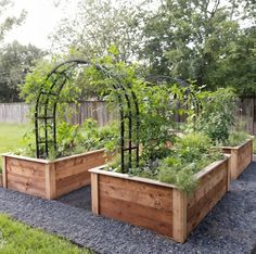 three wooden planters with plants growing in them