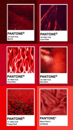 the pantone red color scheme is shown