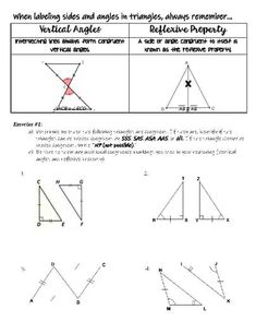 an image of angles and lines worksheet with answers for the triangle, which is also