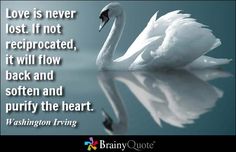 a white swan sitting on top of a body of water with a quote above it that reads love is never lost if not recipitated, it will flow back and soften