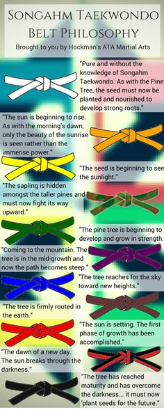 the different types of bow ties