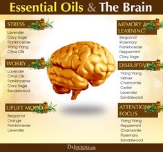 Essential Oils For Parkinsons, Yl Oils, Essential Oils Guide, Oil Remedies, Essential Oils Health, Essential Oil Blends Recipes, Living Essentials Oils, Diffuser Recipes, Essential Oil Diffuser Blends