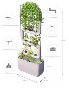 an image of a vertical garden system with plants growing on the top and below it