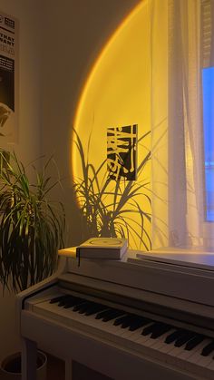 a piano sitting in front of a window next to a potted plant