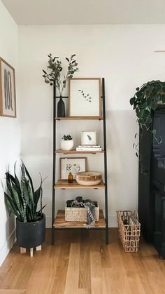 a living room filled with furniture and plants