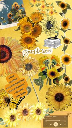 sunflowers and other flowers are arranged on a yellow background with the words sunflower