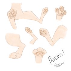 an image of some feet and paws drawn in pencil