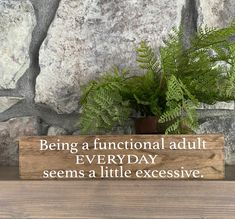 a wooden sign that says being a functional adult everyday seems a little excessive on it