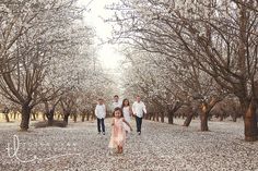 a group of people standing in front of some trees