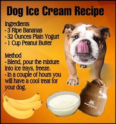 an image of dog ice cream recipe