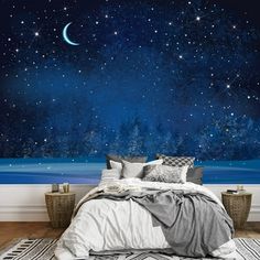 the night sky with stars and moon wallpaper mural in a bedroom setting on a rug