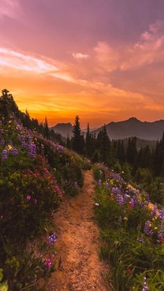 a trail leading to the top of a mountain at sunset