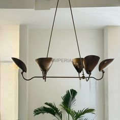 a chandelier hanging from the ceiling over a table with a potted plant