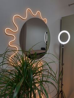 a round mirror sitting on top of a wall next to a potted green plant