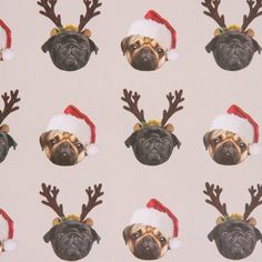 a pug dog wearing a santa hat and reindeer antlers on it's head