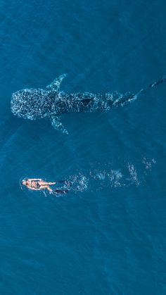 two people swimming in the ocean next to a whale