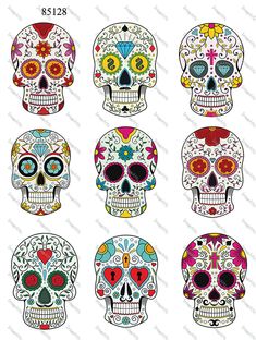 sugar skulls with different colors and patterns