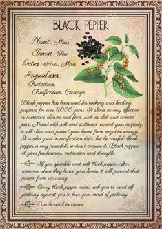 Herbal Correspondences, Herbs Book, Wicca Herbs, Book Of Shadows Pages, Witchcraft Herbs, Grimoire Pages, Herbs Plants, Magickal Herbs, Tarot Significado